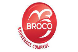 forex broker broco. descripción general