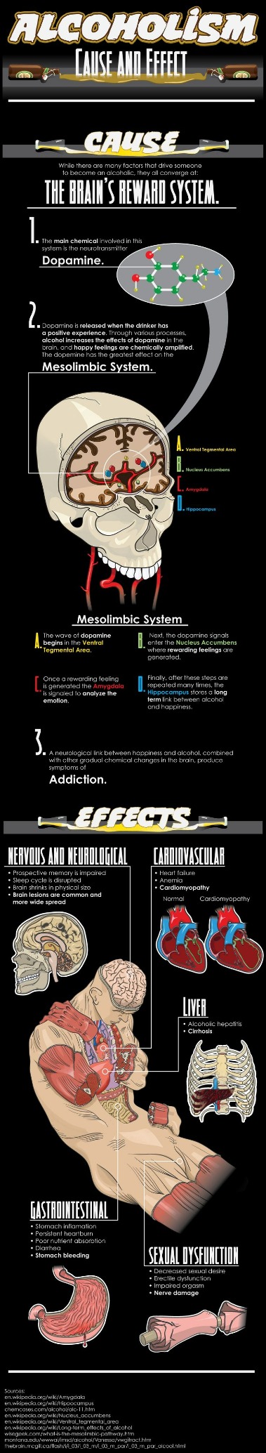 Alcohol And Cancer Risk Fact Sheet