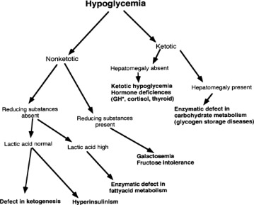 Alcoholism Hypoglycemia